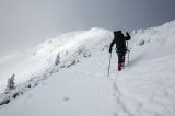 201402131049-AJ001619.jpg